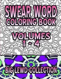 bokomslag Swear Word Coloring Book: Big Lewd Collection (Volumes 1 - 4)