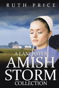 A Lancaster Amish Storm Collection