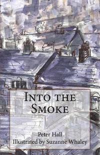 bokomslag Into the Smoke