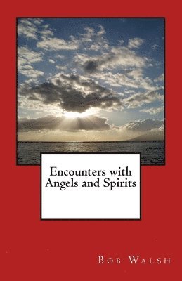 Bob Walsh - Encounters with Angels and Spirits, Häftad