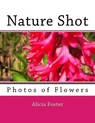 Nature Shot: Photos of Flowers 1