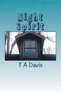 bokomslag Night Spirit: Night Spirit: The Continuing Adventures of Mae and Joey