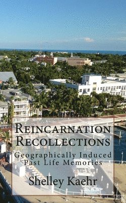 Shelley Kaehr - Reincarnation Recollections, Häftad