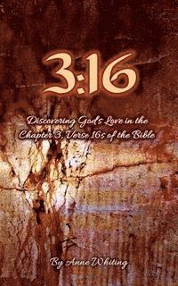 bokomslag 3: 16: Discovering God's Love in the Chapter 3, Verse 16s of the Bible