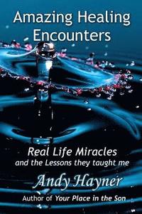 bokomslag Amazing Healing Encounters: Real Life Miracles and the Lessons They Taught Me