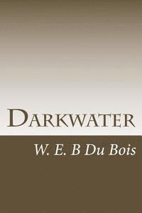bokomslag Darkwater: Voices From Within The Veil