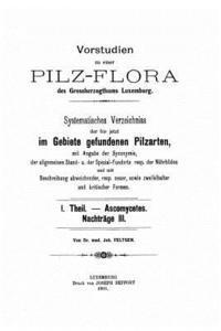 bokomslag Vorstudien zu einer Pilz-Flora