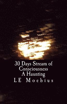 bokomslag 30 Days Streams of Consciousness: A Haunting