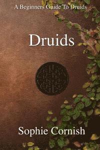 bokomslag Druids: A Beginners Guide To Druids