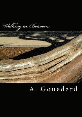 Walking in Between: a collection of poetry 1