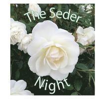 bokomslag The Seder Night