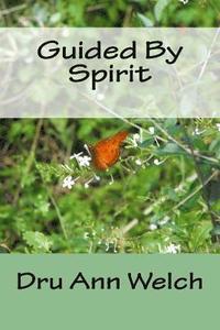 bokomslag Guided By Spirit
