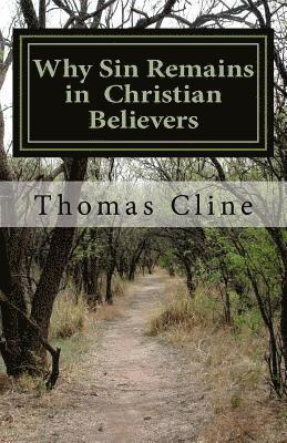 bokomslag Why Sin Remains in Christian Believers: God's Wisdom Displayed in the Regenerate