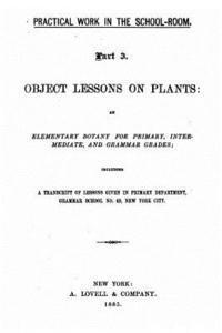 Practical Work in the School Room, Given in Primary Department, Grammar School No. 49, New York City