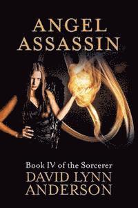 bokomslag Angel Assassin: Book IV of the Sorcerer