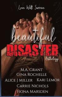 bokomslag Beautiful Disaster Anthology