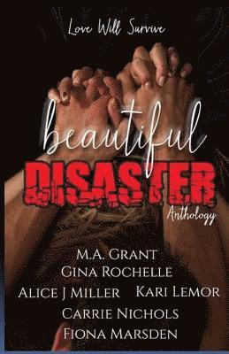 Beautiful Disaster Anthology 1