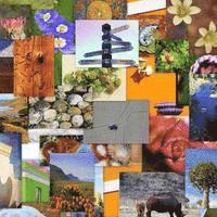 Colours of South Africa, Häftad