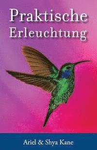 Praktische Erleuchtung 1