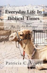 bokomslag Everyday Life In Biblical Times: They Do Not Understand