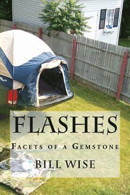 Flashes: Facets of a Gemstone 1