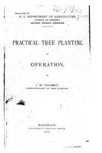 bokomslag Practical Tree Planting in Operation
