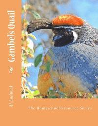 bokomslag Gambel's Quail: The Homeschool Resource Series