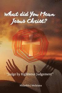 Nhlanhla J. Molatana - What Did You Mean Jesus Christ?: Judge by Righteous Judgement, Häftad