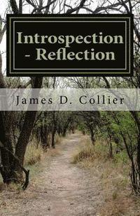 bokomslag Introspection - Reflection