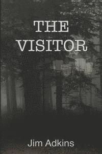 bokomslag The Visitor: And Other Tales of Mystery and Suspense