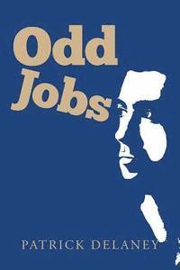 bokomslag Odd Jobs