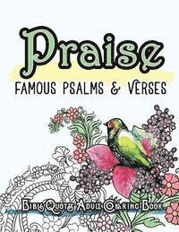 bokomslag Praise: Famous Psalm and Verses Bible Quotes Adult Coloring Book: Colouring Gifts for Grownup Relaxation: Find Mindfulness in Coloring and Devotions