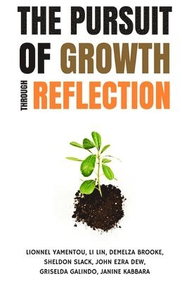 The Pursuit of Growth Through Reflection 1