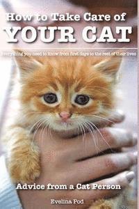 bokomslag How to Take Care of Your Cat: Advice from a Cat Person: Everything You Need to Know from First Days to the Rest of Their Lives