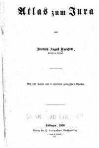 bokomslag Der Jura
