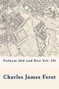 bokomslag Fulham Old and New Vol. III