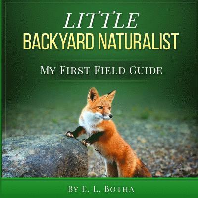 Little Backyard Naturalist 1