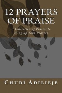 bokomslag 12 Prayers of Praise: A Collection of Praises to Wing up Your Prayers