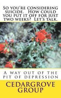 Cedargrove Mastermind Group - So you're considering suicide. How could you put it off for just two weeks? Let's talk., Häftad