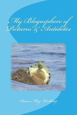My Blogosphere of Pictures & Antidotes 1