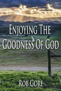 bokomslag Enjoying the Goodness of God