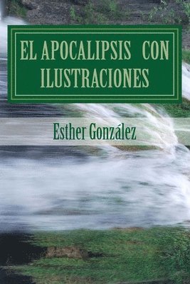 bokomslag El Apocalipsis con ilustraciones: Para aprender y para instruir