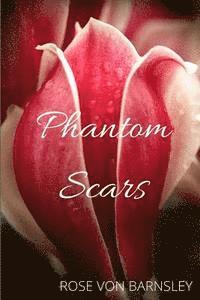 bokomslag Phantom Scars