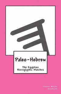 bokomslag Paleo-Hebrew: The Egyptian Hieroglyphic Matches