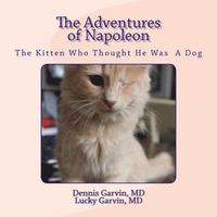 bokomslag The Adventures of Napoleon: The Kitten Who Thought He Was A Dog