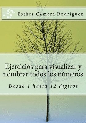 bokomslag Ejercicios para aprender a visualizar y poner nombre a todos los numeros desde 1 a 12 digitos