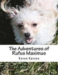 bokomslag Rufus Maximus