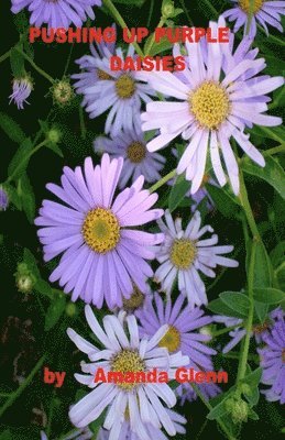 Pushing Up Purple Daisies 1