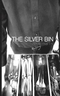 bokomslag The Silver Bin