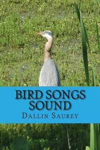 bokomslag Bird Songs Sound